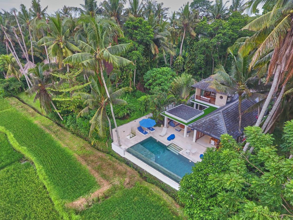 Villa Balinese Luxurious Elegance Ubud  Bagian luar foto